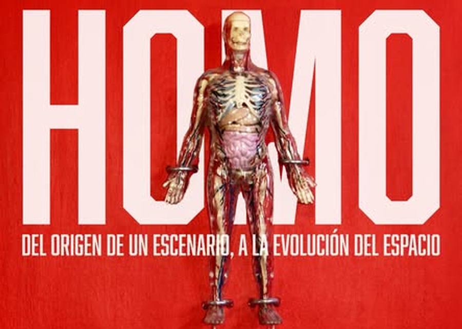 Homo