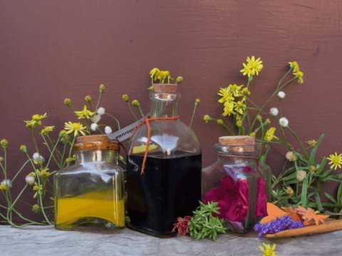 Colores de la UVA: tintas naturales y dibujo botánico