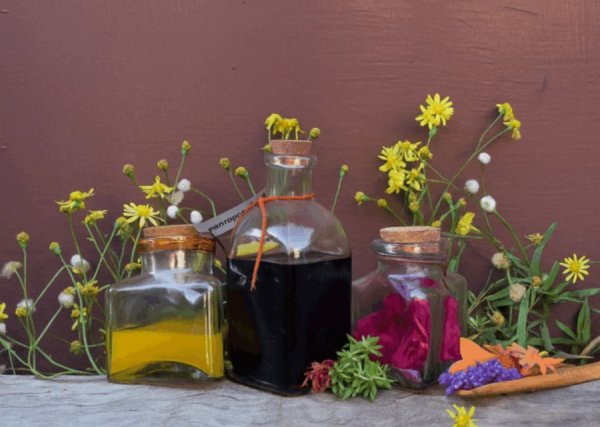 Colores de la UVA: tintas naturales y dibujo botánico