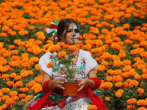 Calaveritas, flores y memoria: Construyamos una ofrenda
