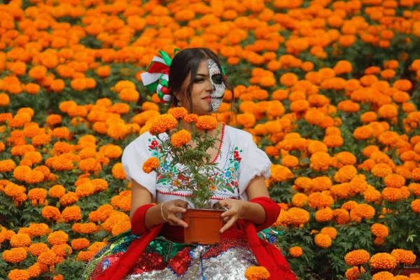 Convocatoria Calaveritas, flores y memoria: Construyamos una ofrenda