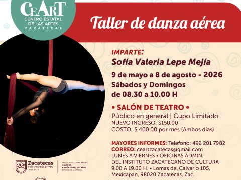 Danza aérea