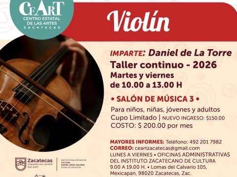 Violín