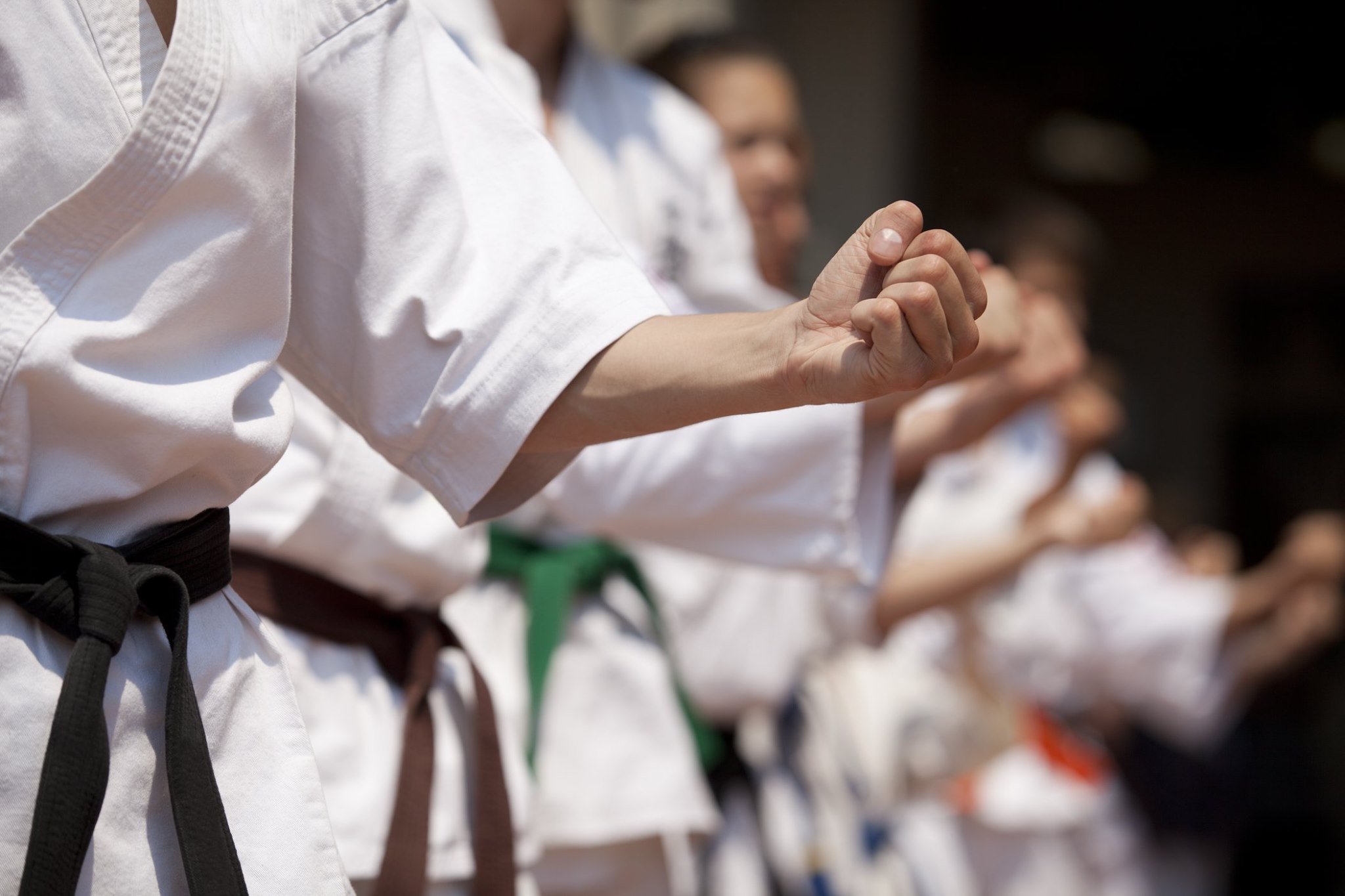 Karate do