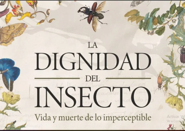 Convocatoria La dignidad del insecto