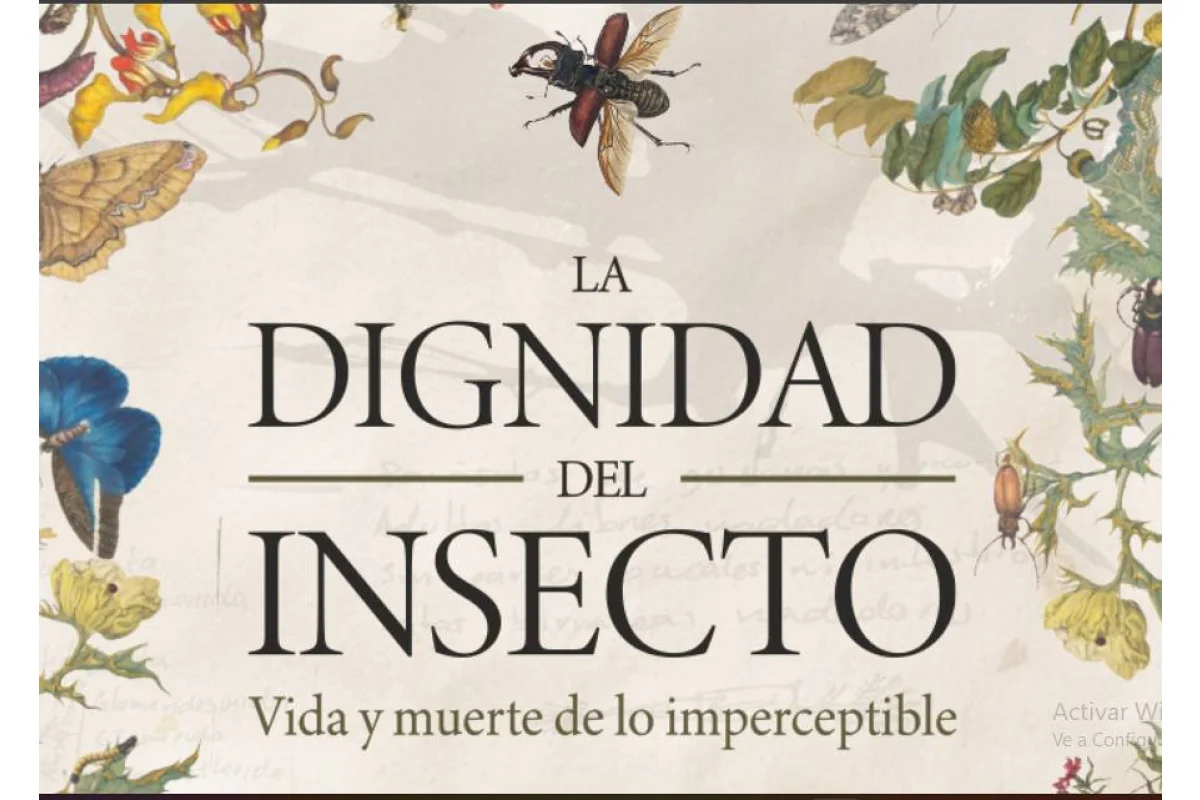 La dignidad del insecto: vida y muerte de lo imperceptible