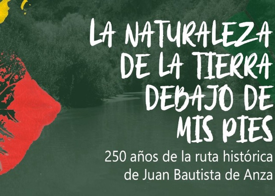 La naturaleza de la tierra debajo de mis pies