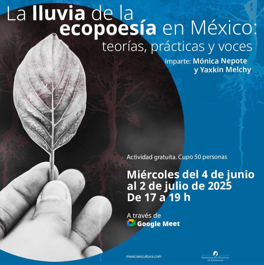 La lluvia de la ecopoesía en México: teorías, prácticas y voces