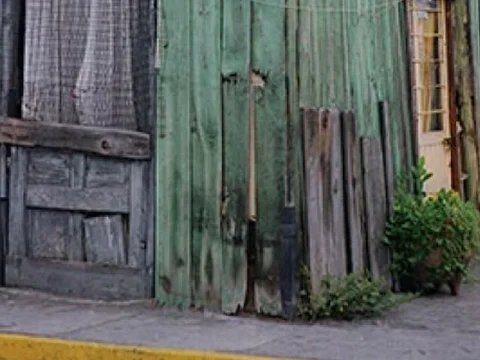Los nidos del tejabán