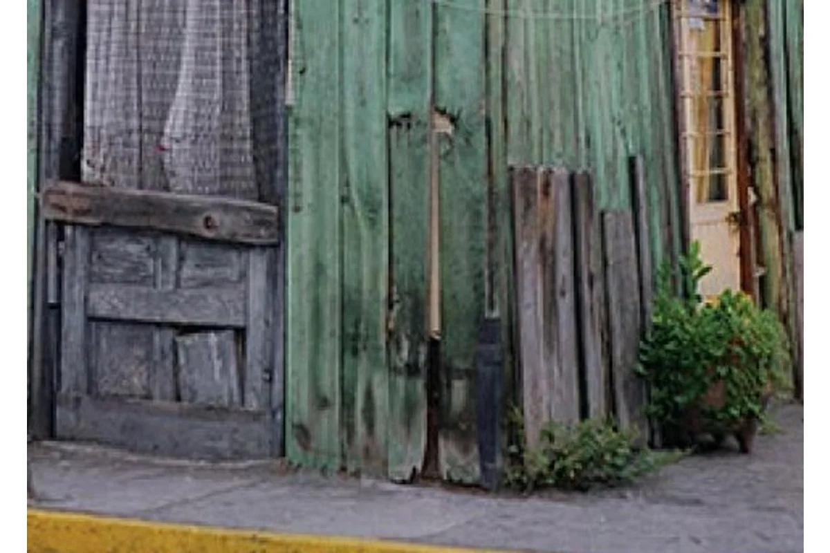 Los nidos del tejabán