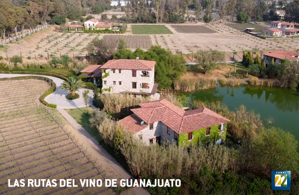 Convocatoria Rutas del vino de Guanajuato