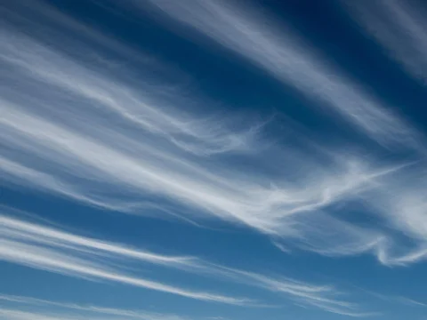 Los sonidos del viento