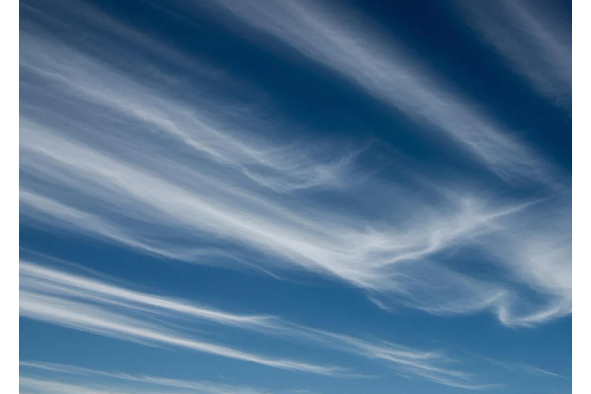 Los sonidos del viento