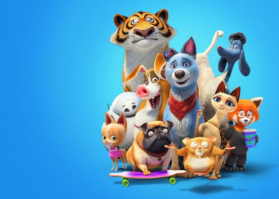 Mascotas unidas
