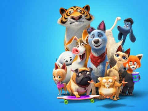 Mascotas unidas