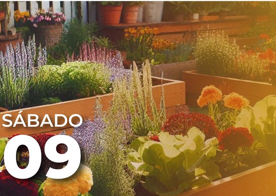 Pequeños horticultores