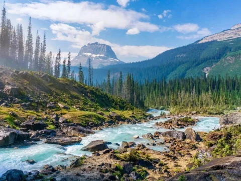 La poesía de la naturaleza
