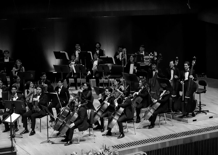 OJUEM: Festival Euforia
