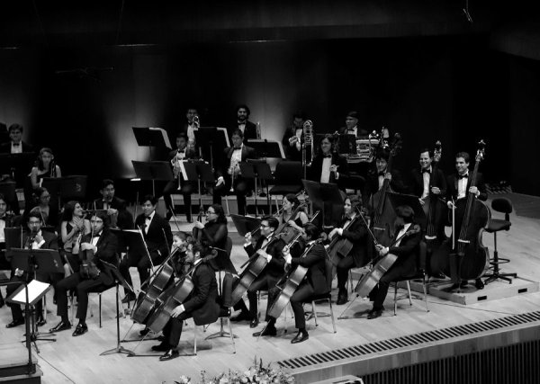 OJUEM: Festival Euforia