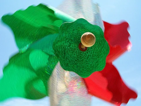 Rehilete tricolor