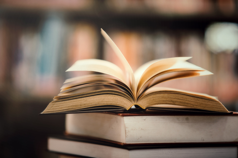 Rutas literarias por Francia