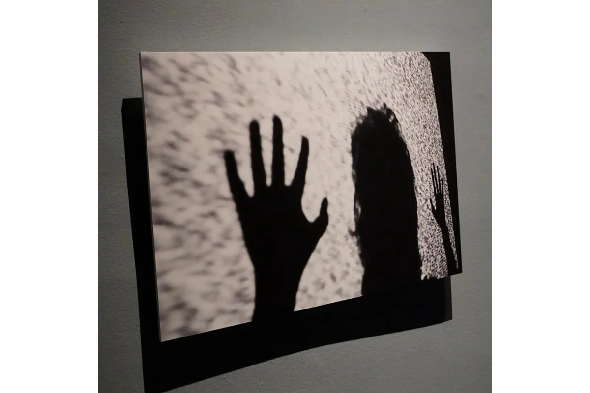 Una noche en las sombras. Programa de actividades de la exposición de Carlos Salom Freixas