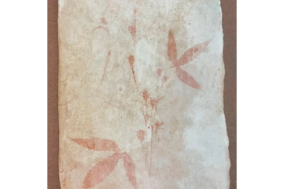 Taller presencial. Antiotipias americanas. Creación de imágenes contemporánea con técnicas y materiales naturales