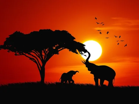 ¿Qué tan grande es grande? Tamaño efectivo de los animales