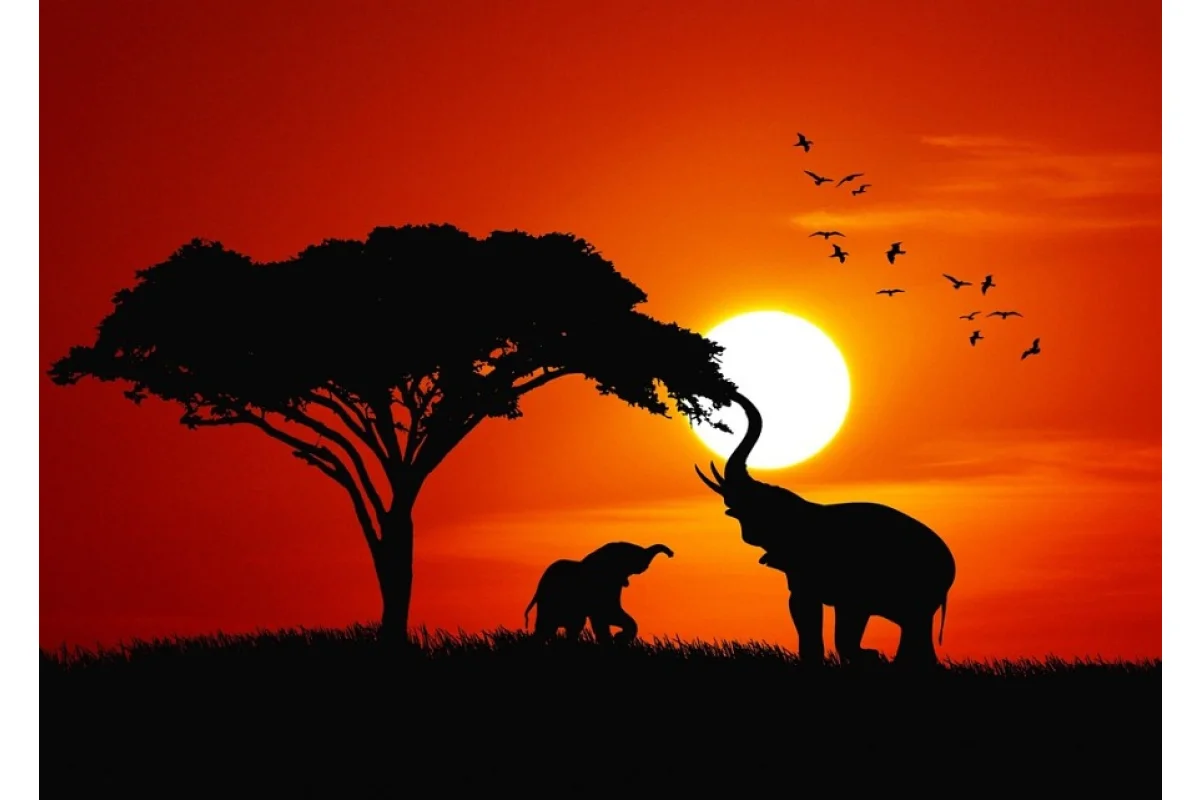 ¿Qué tan grande es grande? Tamaño efectivo de los animales