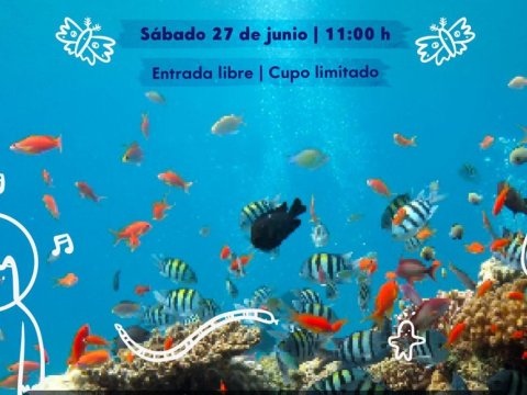 ¡TECHPAKTIA IN AMOXCALLI!: el medio ambiente