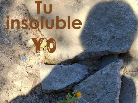 Tu insoluble YO