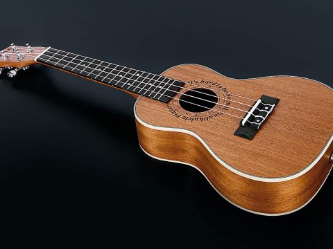 Ukulele y guitarra