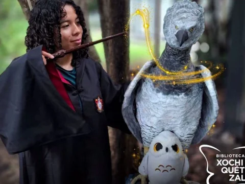 Guía de magizoología ornitológica