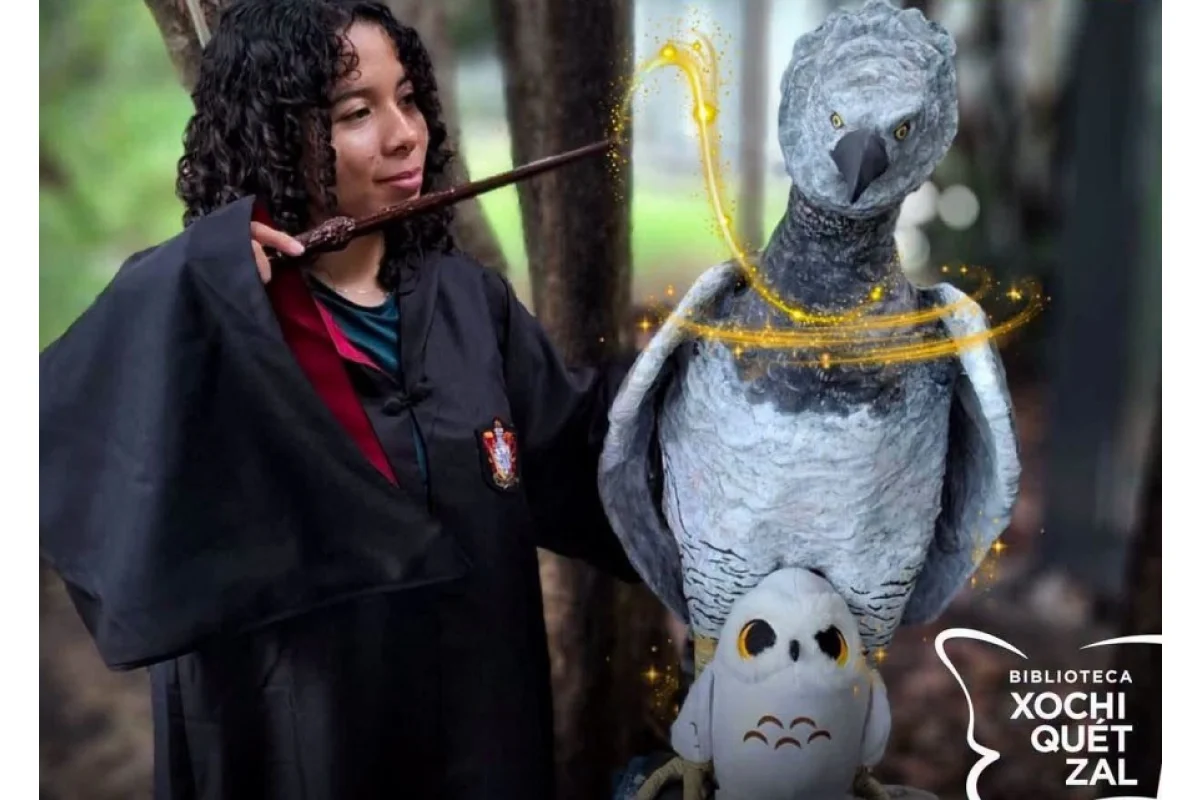 Guía de magizoología ornitológica