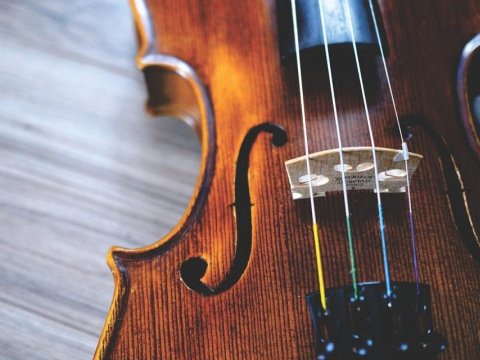 Violín Adultos