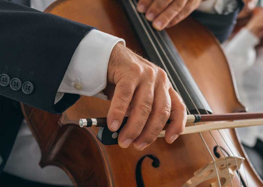 Violonchelo