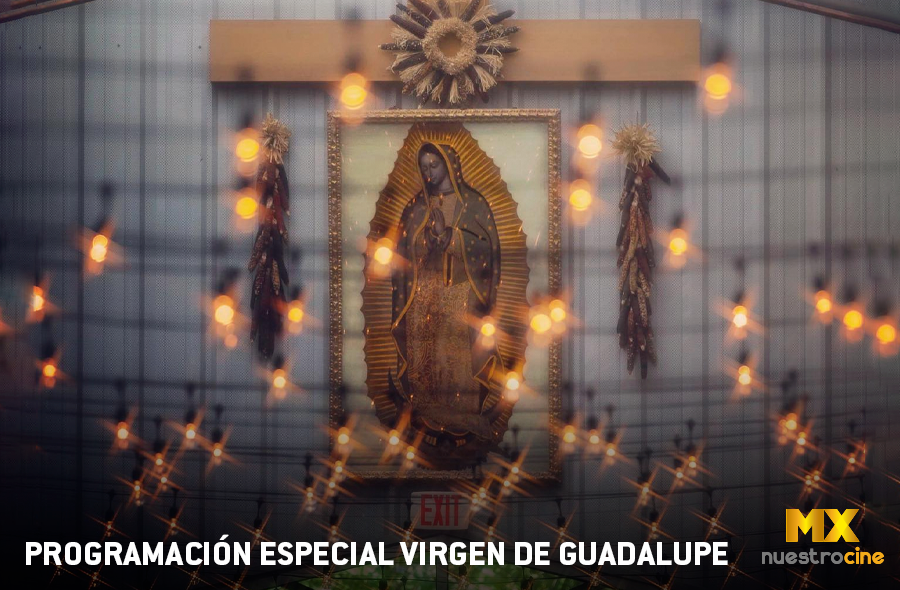 Especial Virgen de Guadalupe