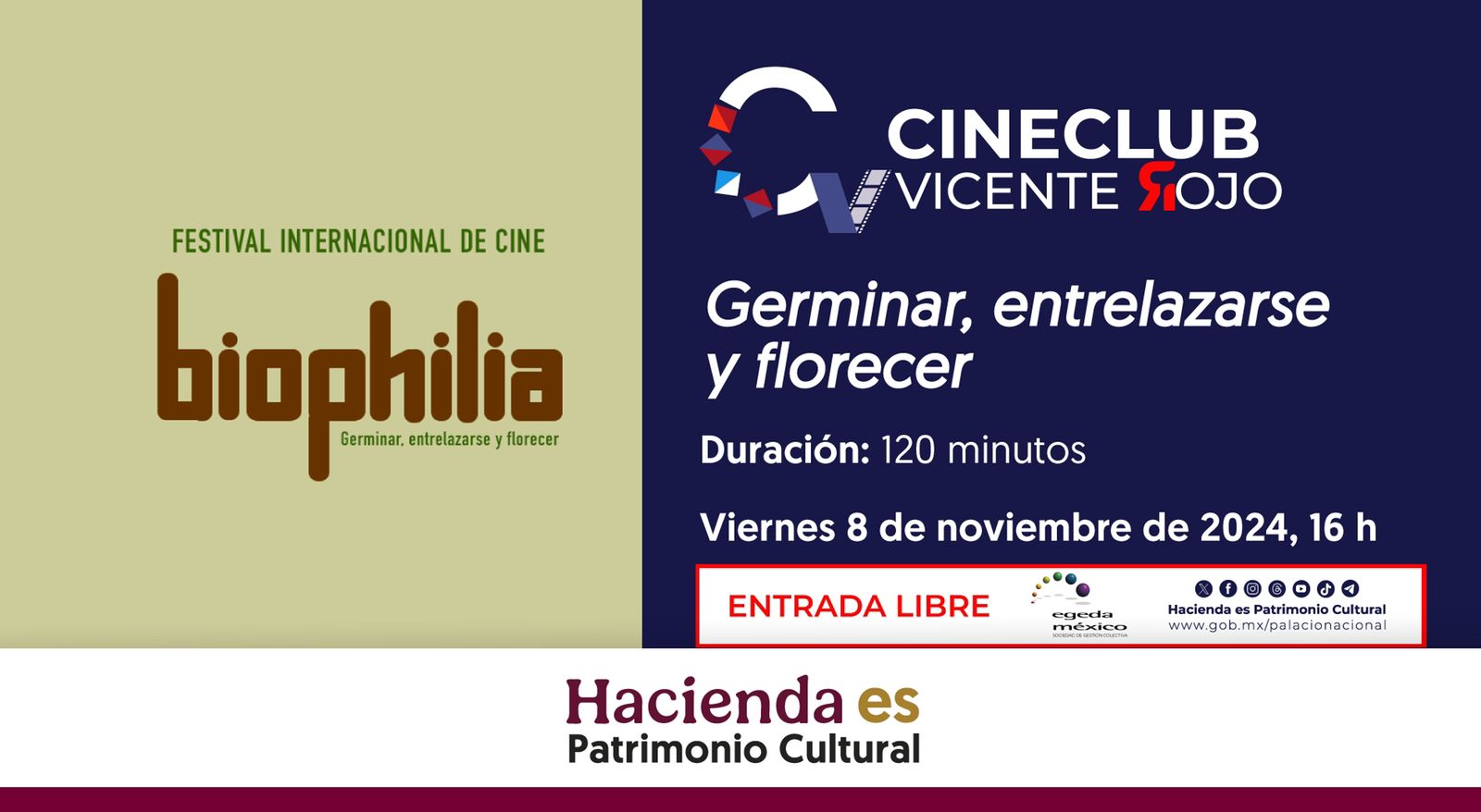 Cineclub Vicente Rojo | Festival Internacional de Cine | GERMINAR, ENTRELAZARSE Y FLORECER