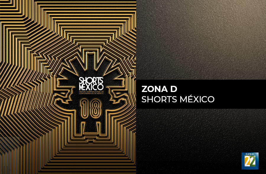 Zona D Shorts México