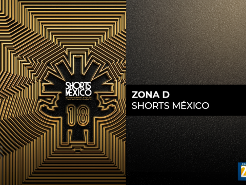 Zona D Shorts México