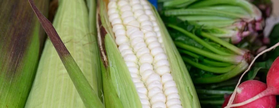 Encuentro Ingrediente