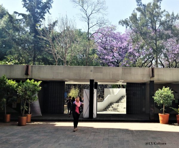 Centro Universitario Cultural