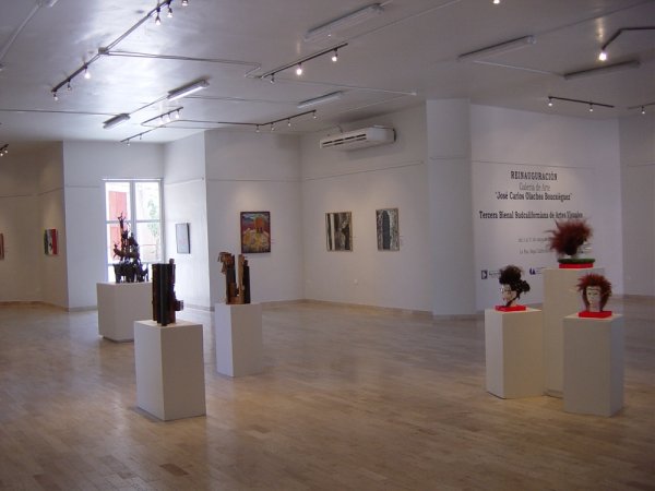 Galería de Arte Carlos Olachea Boucsiéguez